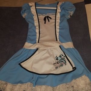 Alice and Wonderland Costume